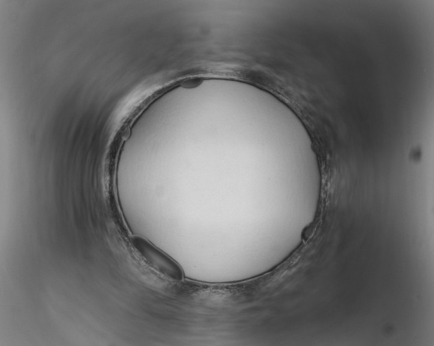 X0000116320294200912221404