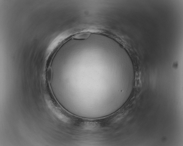 X0000116320296200912221404