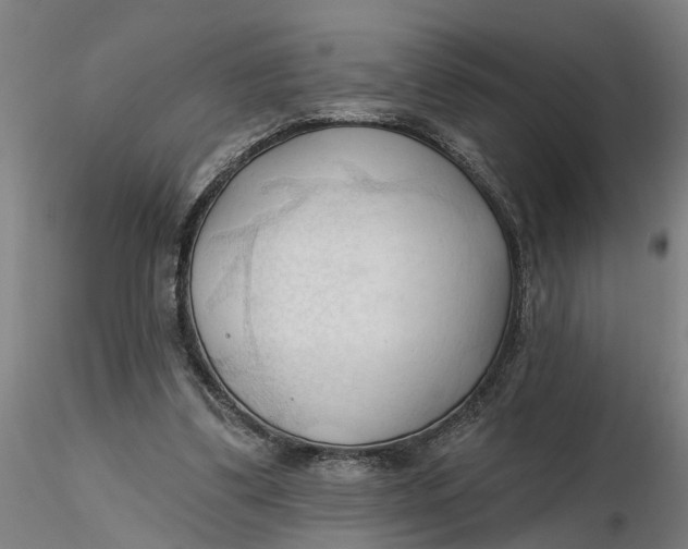 X0000116320299200912221404