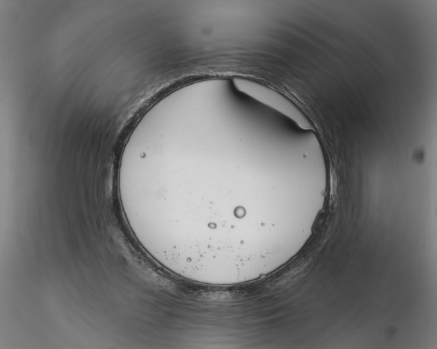 X0000116320301200912221404