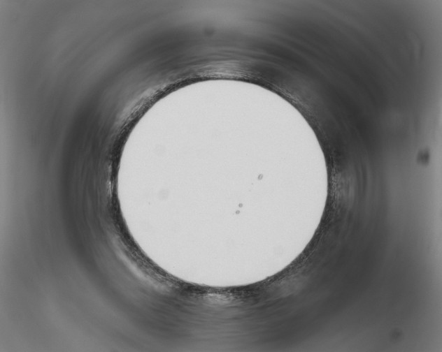 X0000116320302200912221404