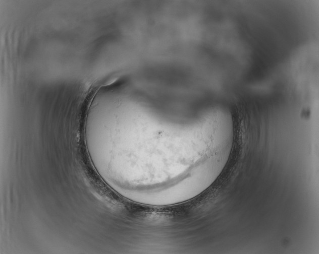 X0000116320303200912221404