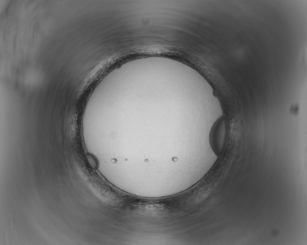 X0000116320304200912221404