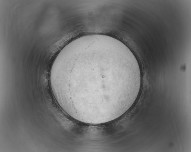 X0000116320305200912221404