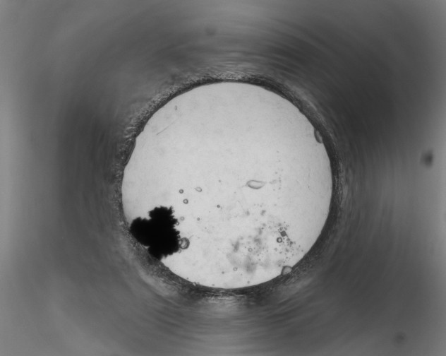 X0000116320307200912221404