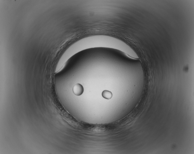 X0000116320308200912221404