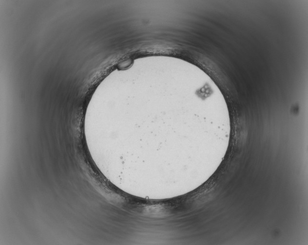 X0000116320309200912221404