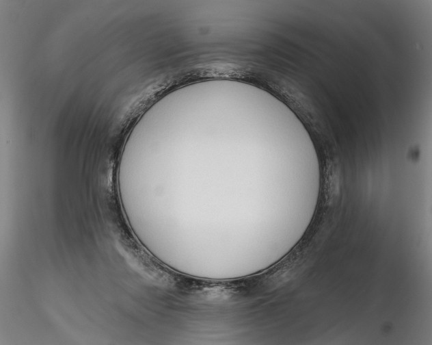 X0000116320310200912221404