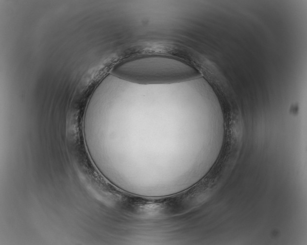 X0000116320312200912221404