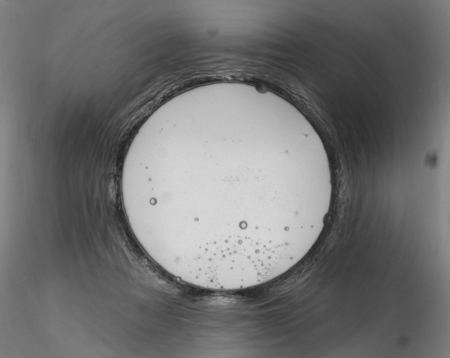 X0000116320313200912221404