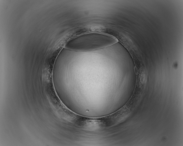 X0000116320316200912221404