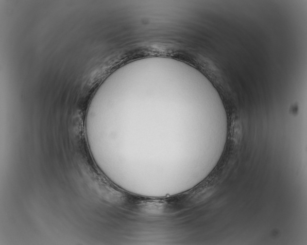 X0000116320318200912221404