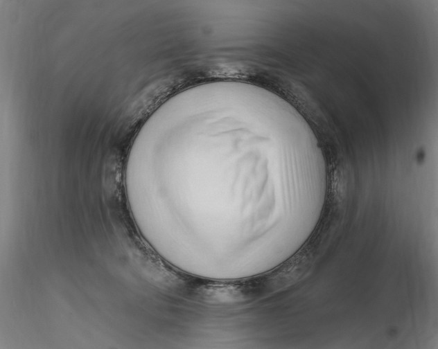 X0000116320322200912221404