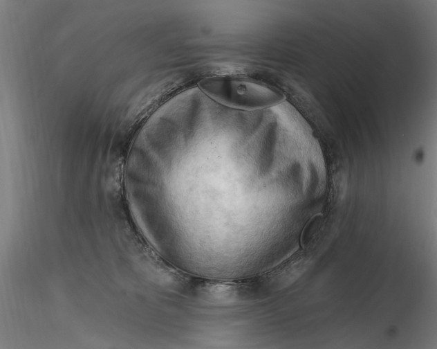 X0000116320325200912221404