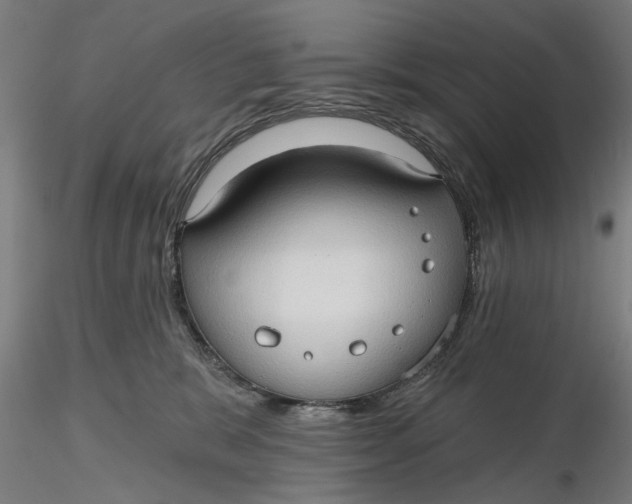 X0000116320327200912221404