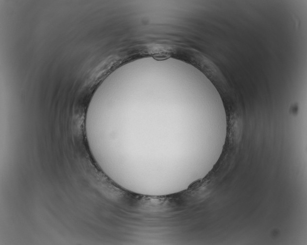 X0000116320329200912221404