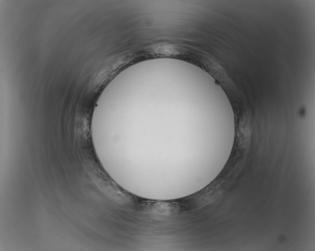 X0000116320330200912221404