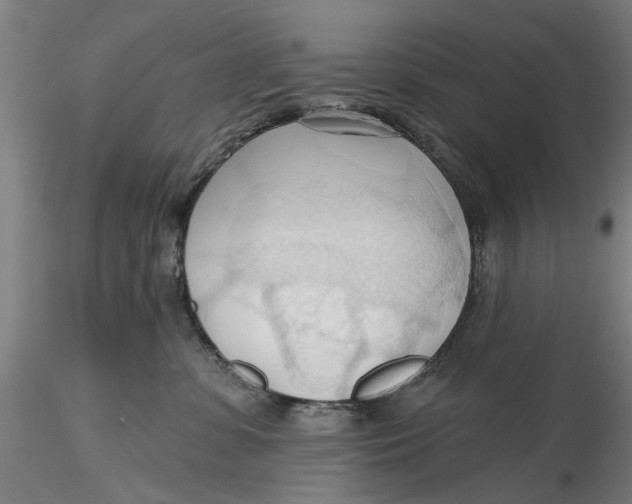 X0000116320331200912221404