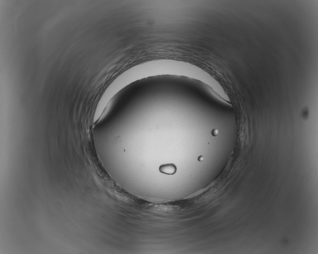 X0000116320332200912221404