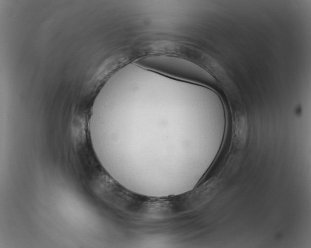 X0000116320333200912221404