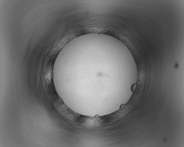 X0000116320334200912221404