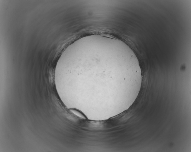 X0000116320335200912221404