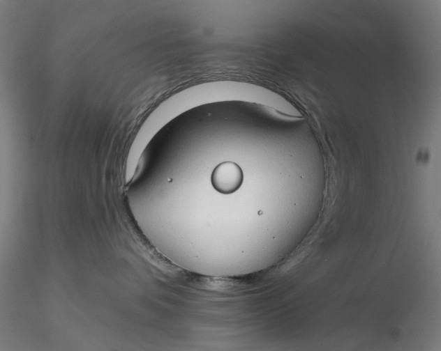 X0000116320336200912221404