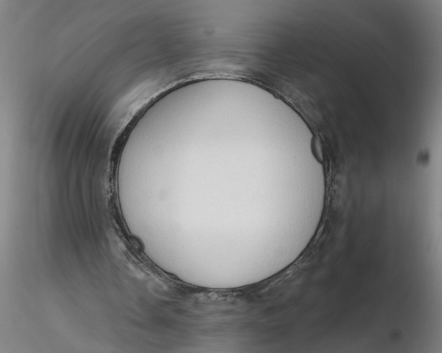 X0000116320338200912221403