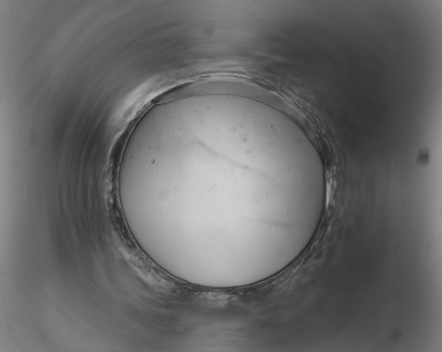 X0000116320339200912221403