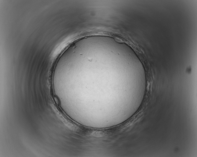 X0000116320341200912221403