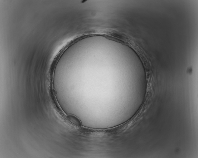 X0000116320342200912221403