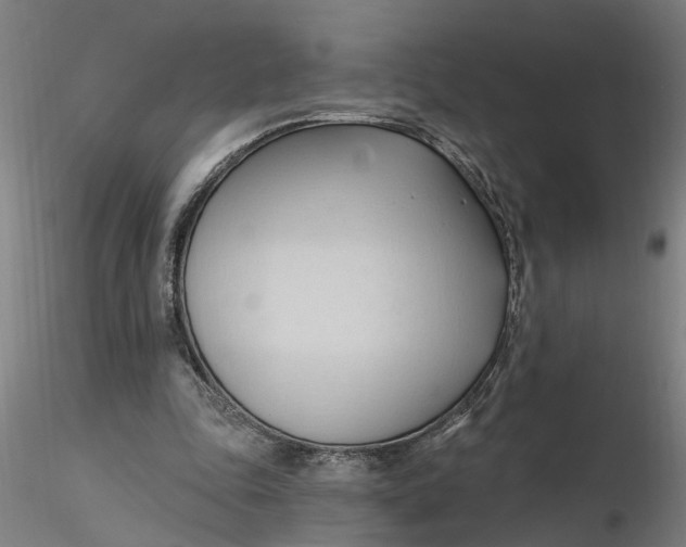 X0000116320343200912221403