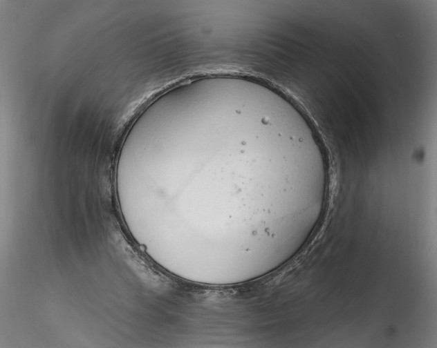 X0000116320345200912221403