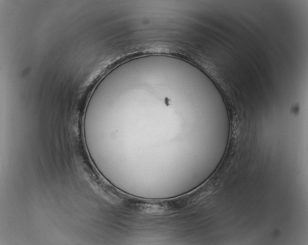 X0000116320347200912221403