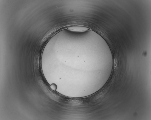 X0000116320349200912221403