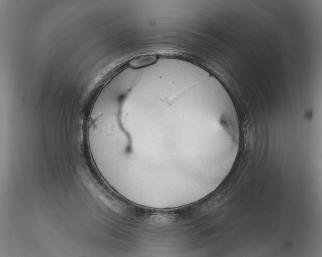 X0000116320350200912221403