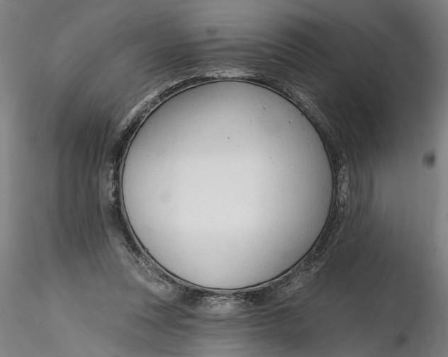 X0000116320351200912221403