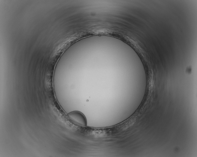 X0000116320353200912221403