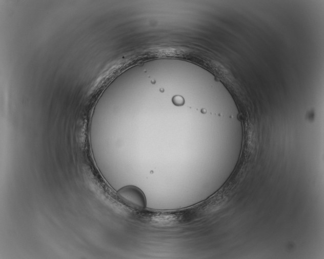 X0000116320357200912221404