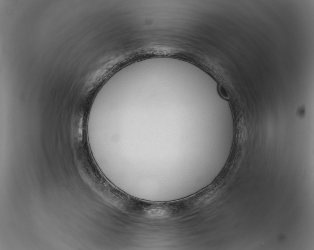 X0000116320358200912221404