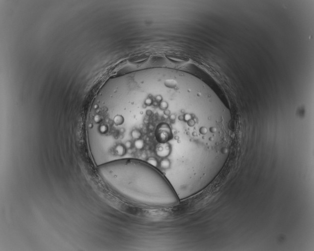 X0000116320359200912221404