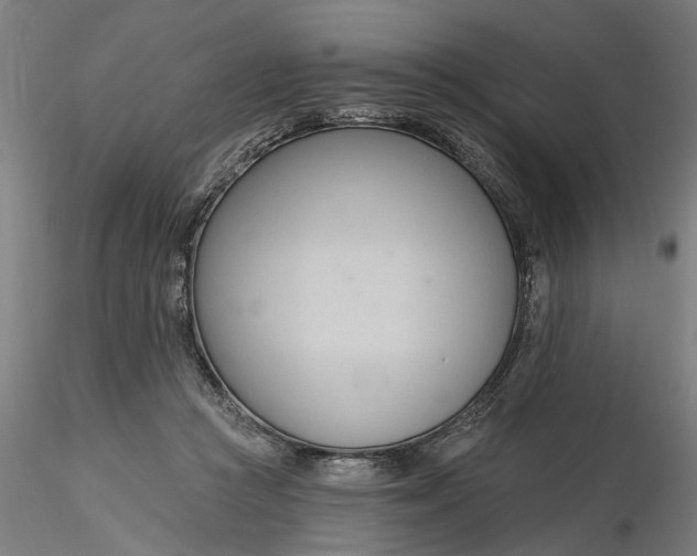 X0000116320361200912221404