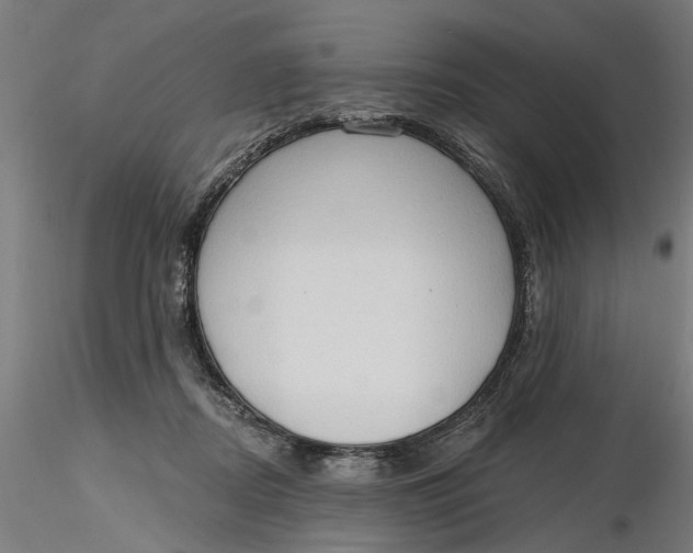 X0000116320362200912221404