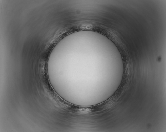 X0000116320363200912221404