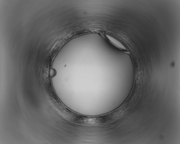 X0000116320365200912221404