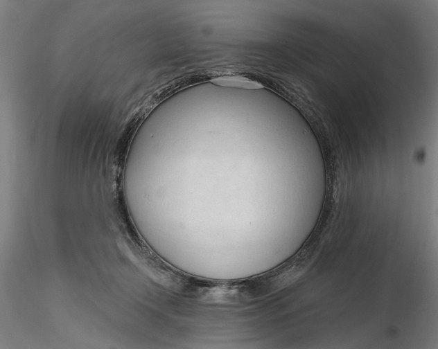 X0000116320366200912221404