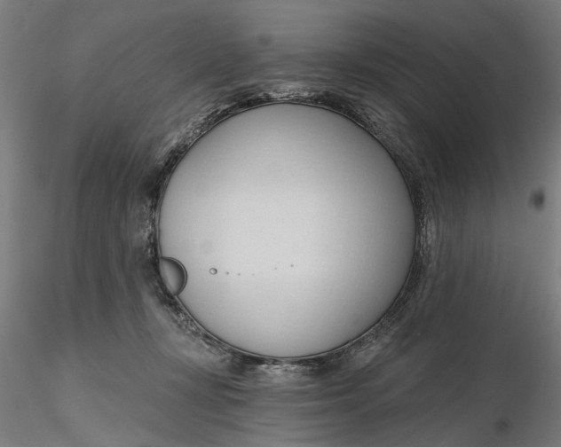 X0000116320367200912221404