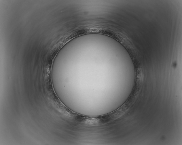 X0000116320369200912221404