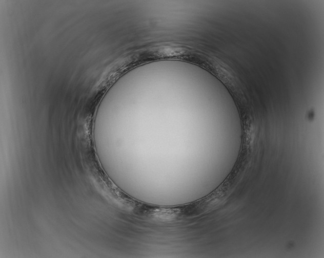 X0000116320373200912221404