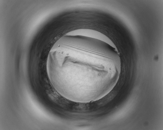 X0000116320383200912221404